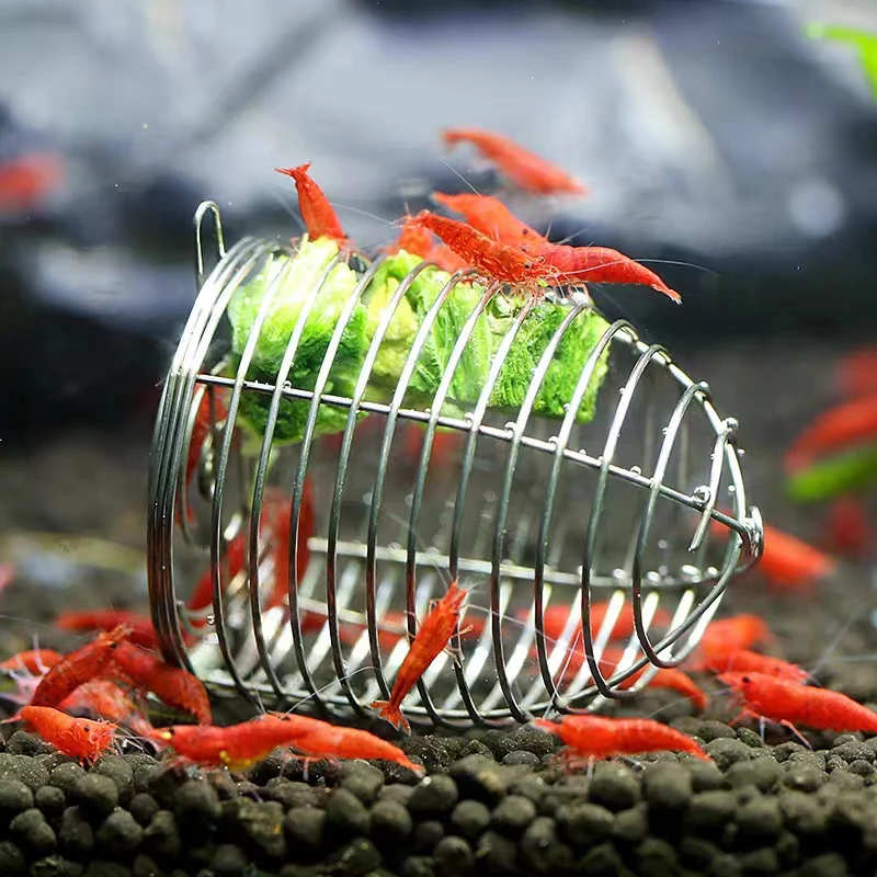 Aquarium Fish Holiday Food - Stainless Steel Aquarium Small Fishing Bait