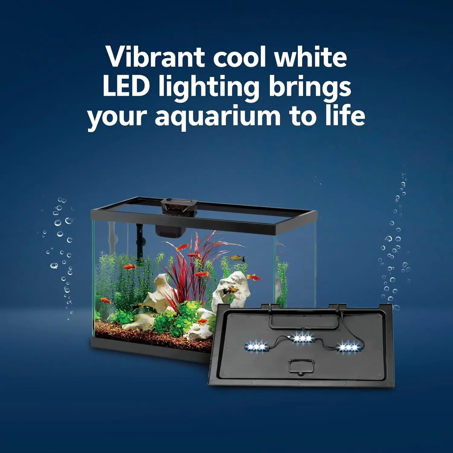 Tetra Fish In Aquarium - Aquarium Starter Kit with Smart Clean