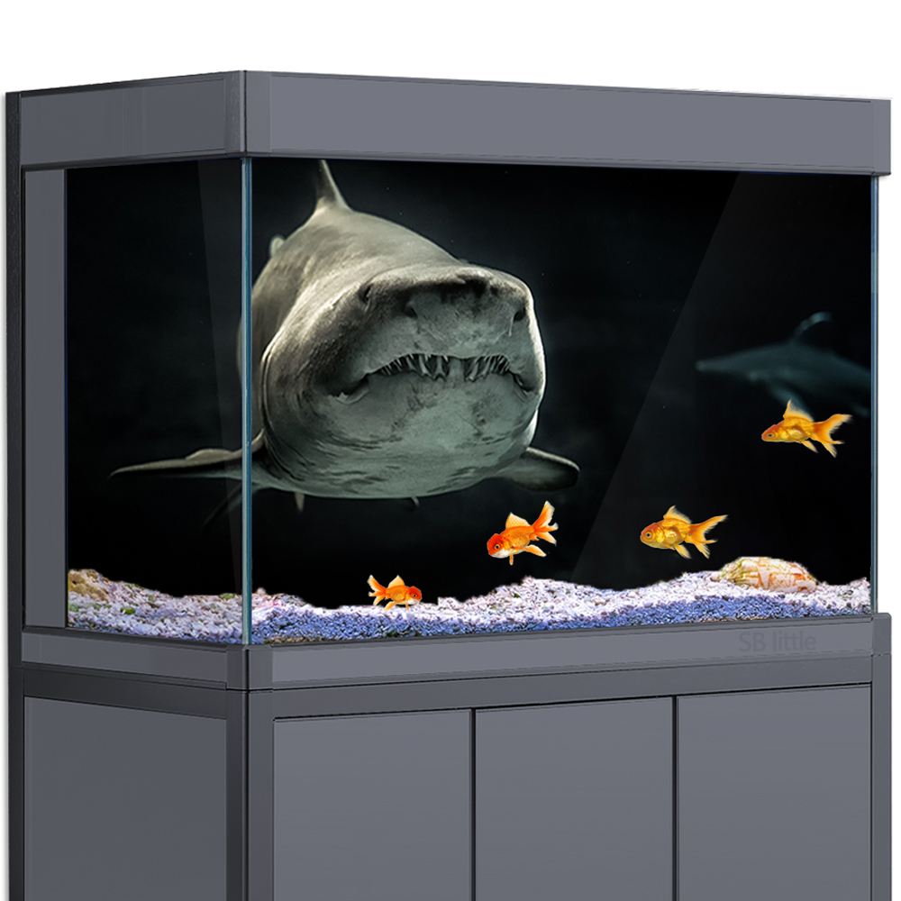 Aquarium Fish Wallpaper Hd - Aquarium Background 3D Shark Black Dark
