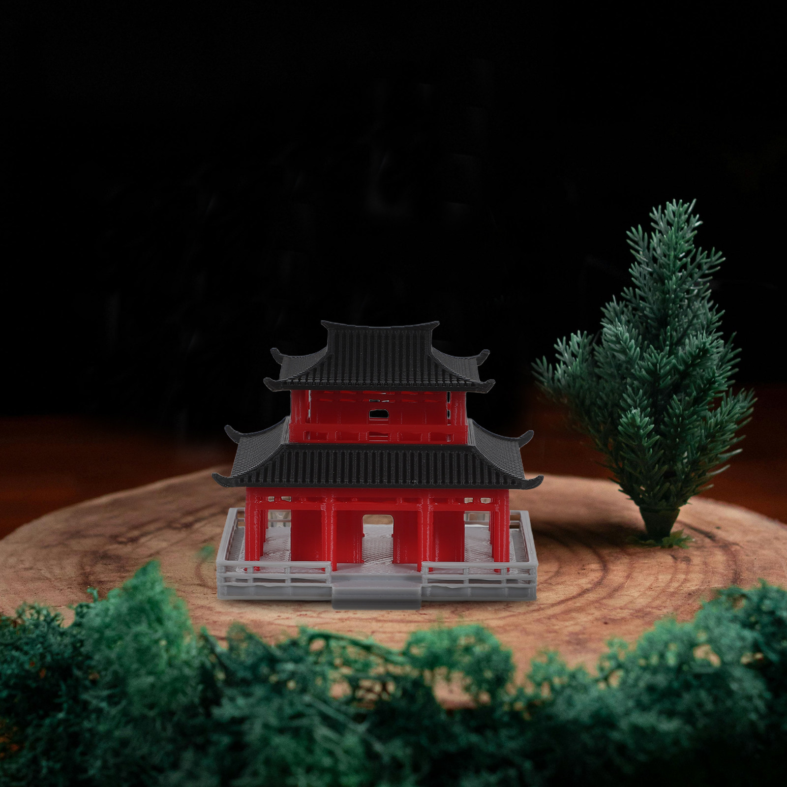 Ancient Chinese Black Red Pavi - Aquarium Fish In ulasan dan harga