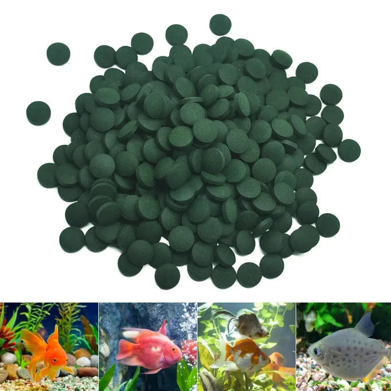 100-3000pcs High Purity Spirul - Aquarium Fish Holiday Food ulasan dan harga