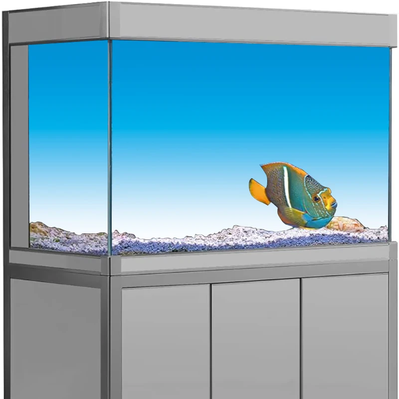 Aquarium Background Sticker, B - Aquarium Fish Wallpaper Hd ulasan dan harga