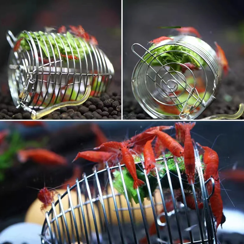 Stainless Steel Aquarium Small - Aquarium Fish Holiday Food ulasan dan harga