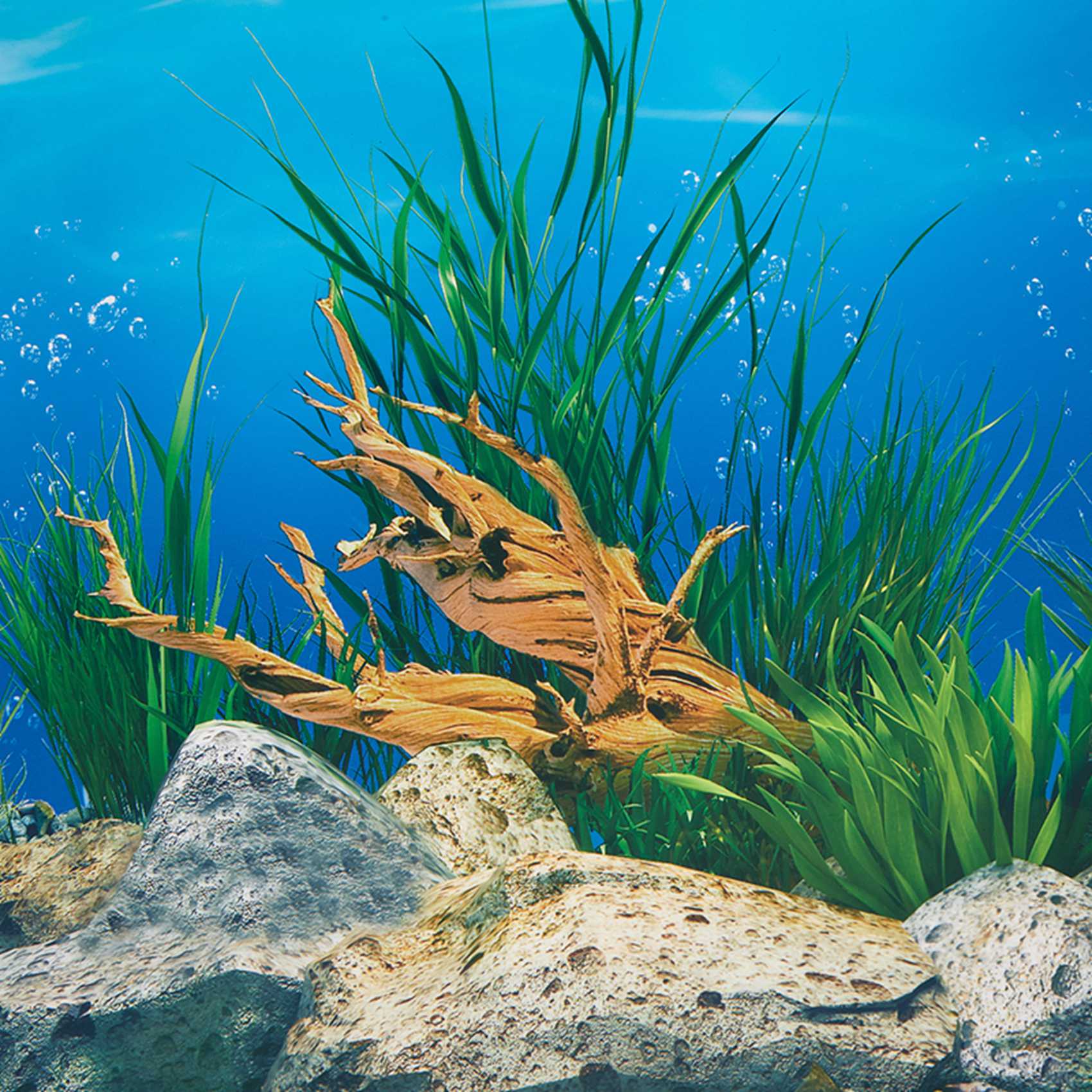 ABWR-Aquarium Background Paper - Aquarium Fish Wallpaper Hd ulasan dan harga