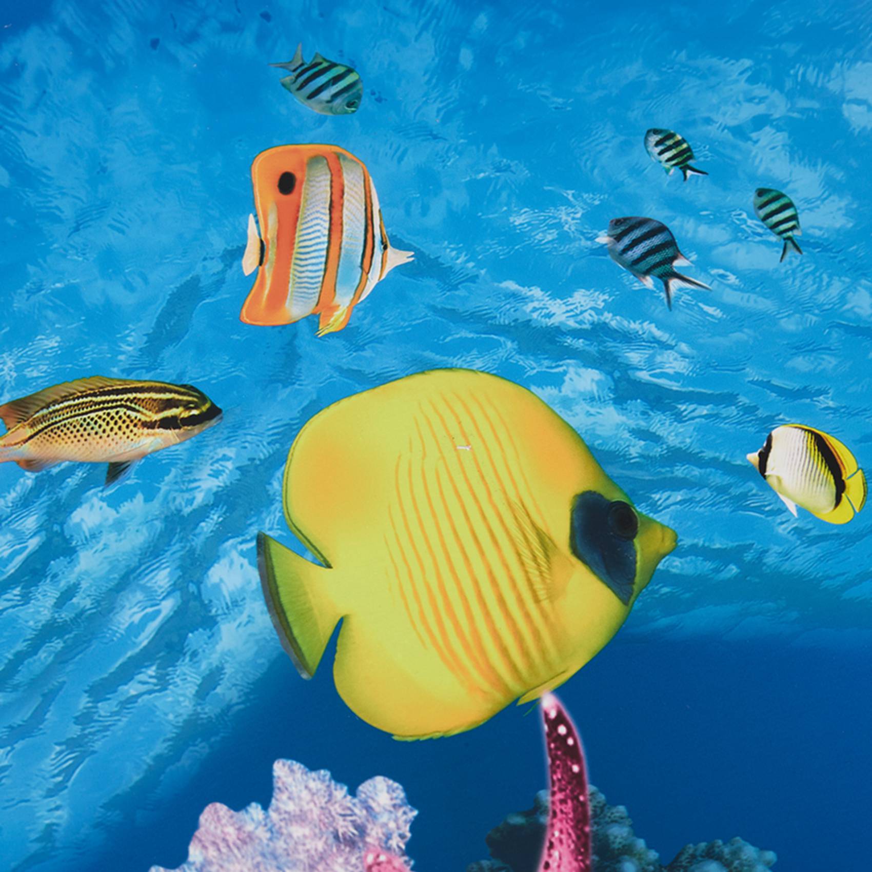 ABWR-Aquarium Background Paper - Aquarium Fish Wallpaper Hd ulasan dan harga