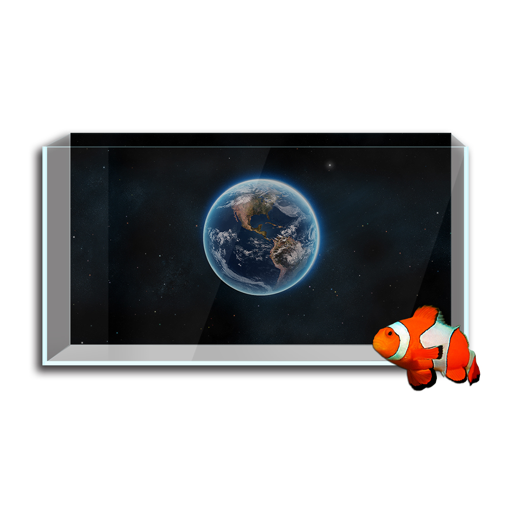 Aquarium Fish Tank  Background - Aquarium Fish Wallpaper Hd ulasan dan harga