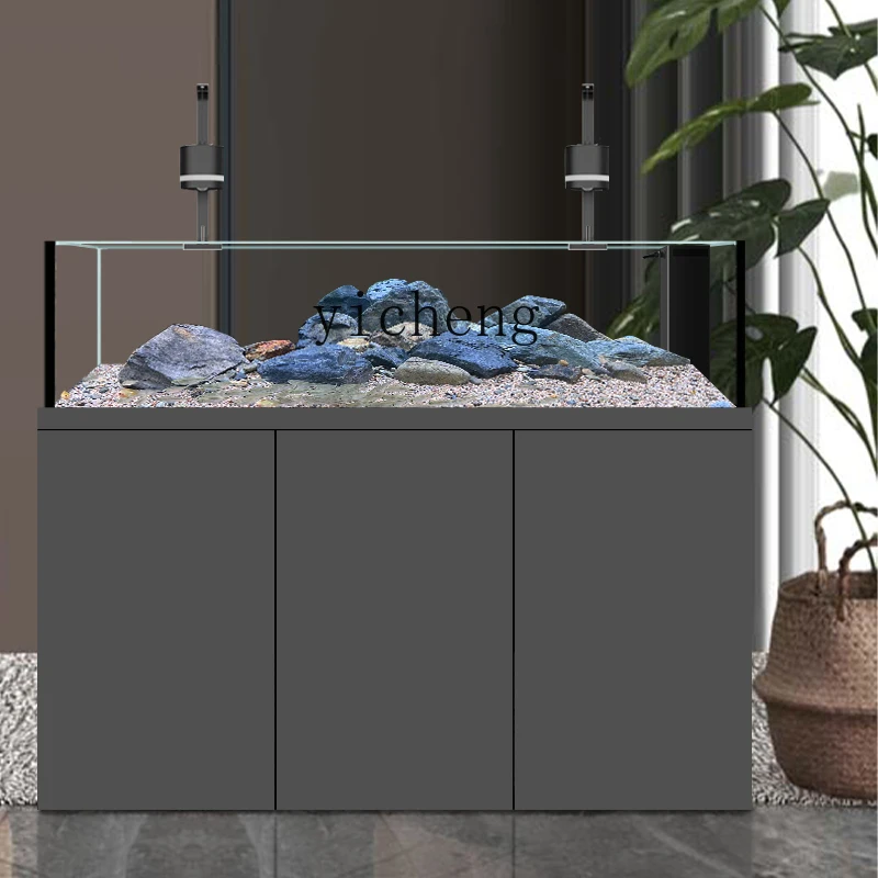 ABB  native wild stream tank S - Wild Aquarium Fish ulasan dan harga