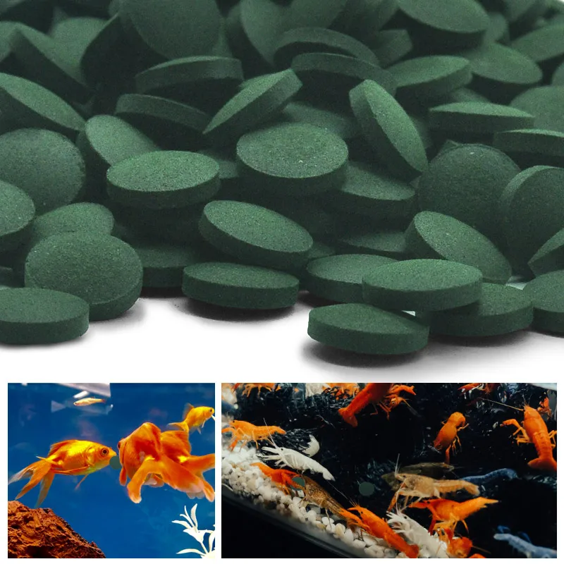100pcs High Purity Spirulina T - Aquarium Fish Holiday Food ulasan dan harga