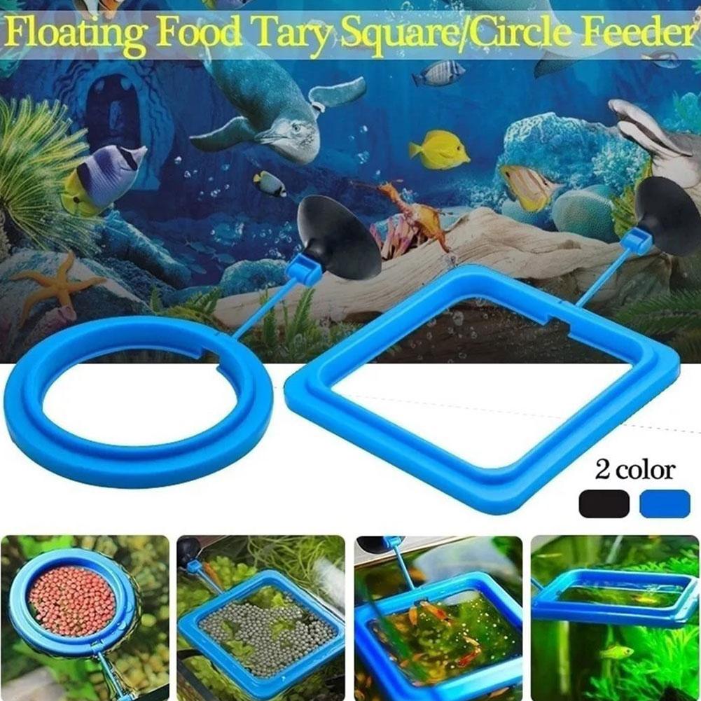 Fish Feeding Ring Feeder Fishi - Tetra Fish In Aquarium ulasan dan harga