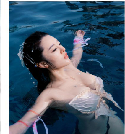 Mermaid Woven Butterfly Silico - Wild Aquarium Fish ulasan dan harga