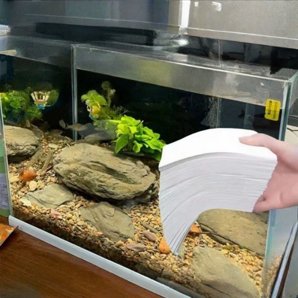 50pcs Multifunctional Filter A - Aquarium Fish Yellow ulasan dan harga