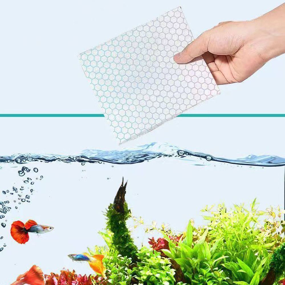 100pcs Multifunctional Aquariu - Aquarium Fish Yellow ulasan dan harga