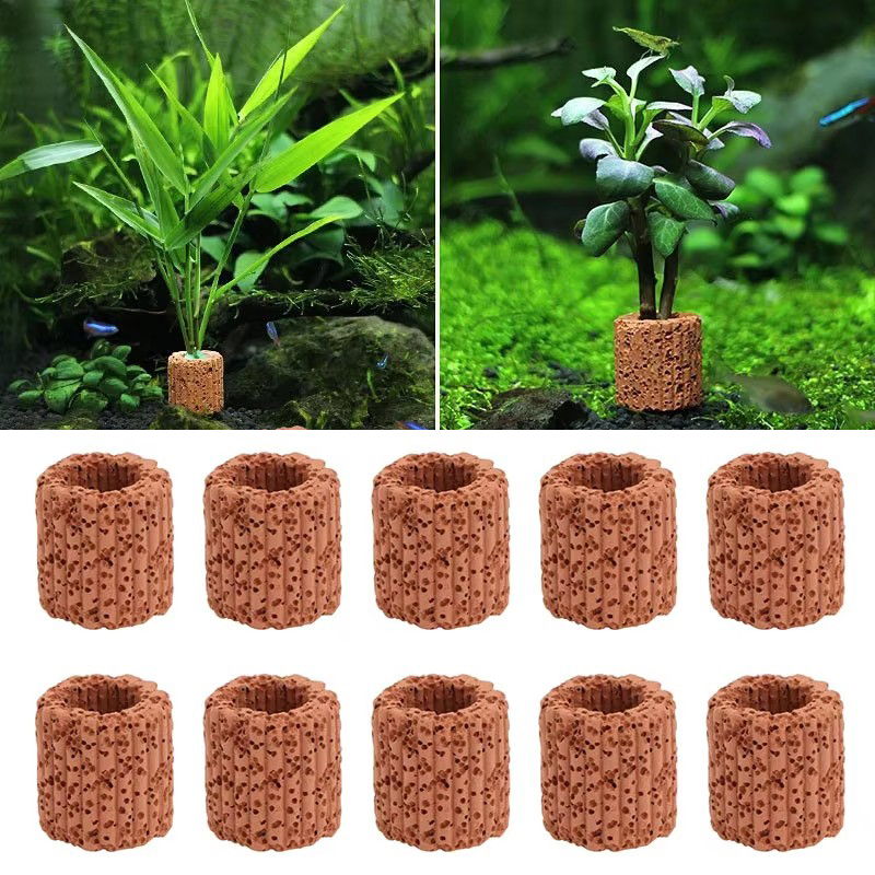 Aquatic Plant Fixed Ring for A - Aquarium Fish Cichlid ulasan dan harga