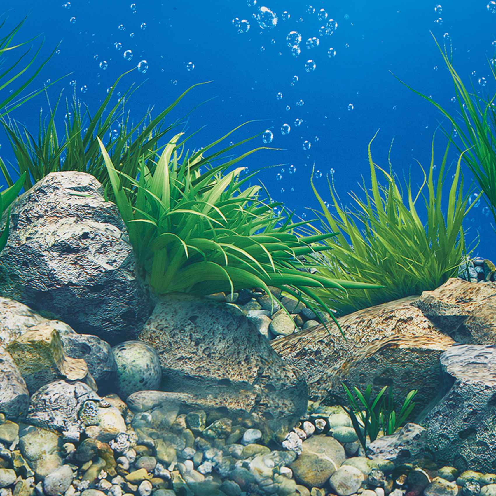 A77I Aquarium Background Paper - Aquarium Fish Wallpaper Hd ulasan dan harga