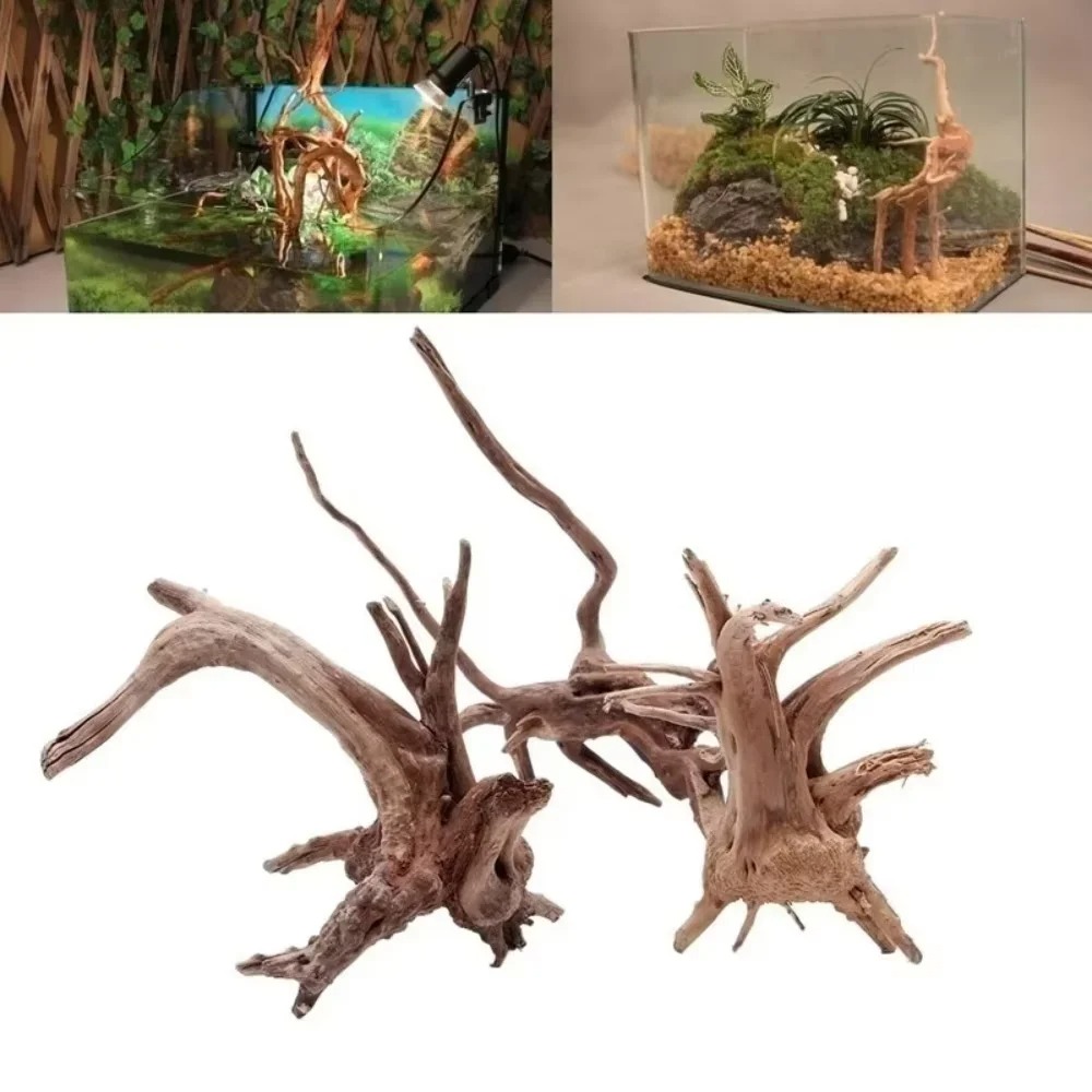15-20CM Natural Driftwood Aqua - Aquarium Fish Guppy ulasan dan harga
