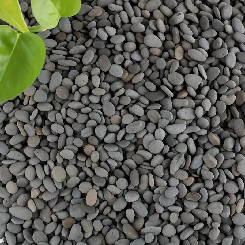 20Pcs Natural River Rocks Smoo - Aquarium Fish Guppy ulasan dan harga