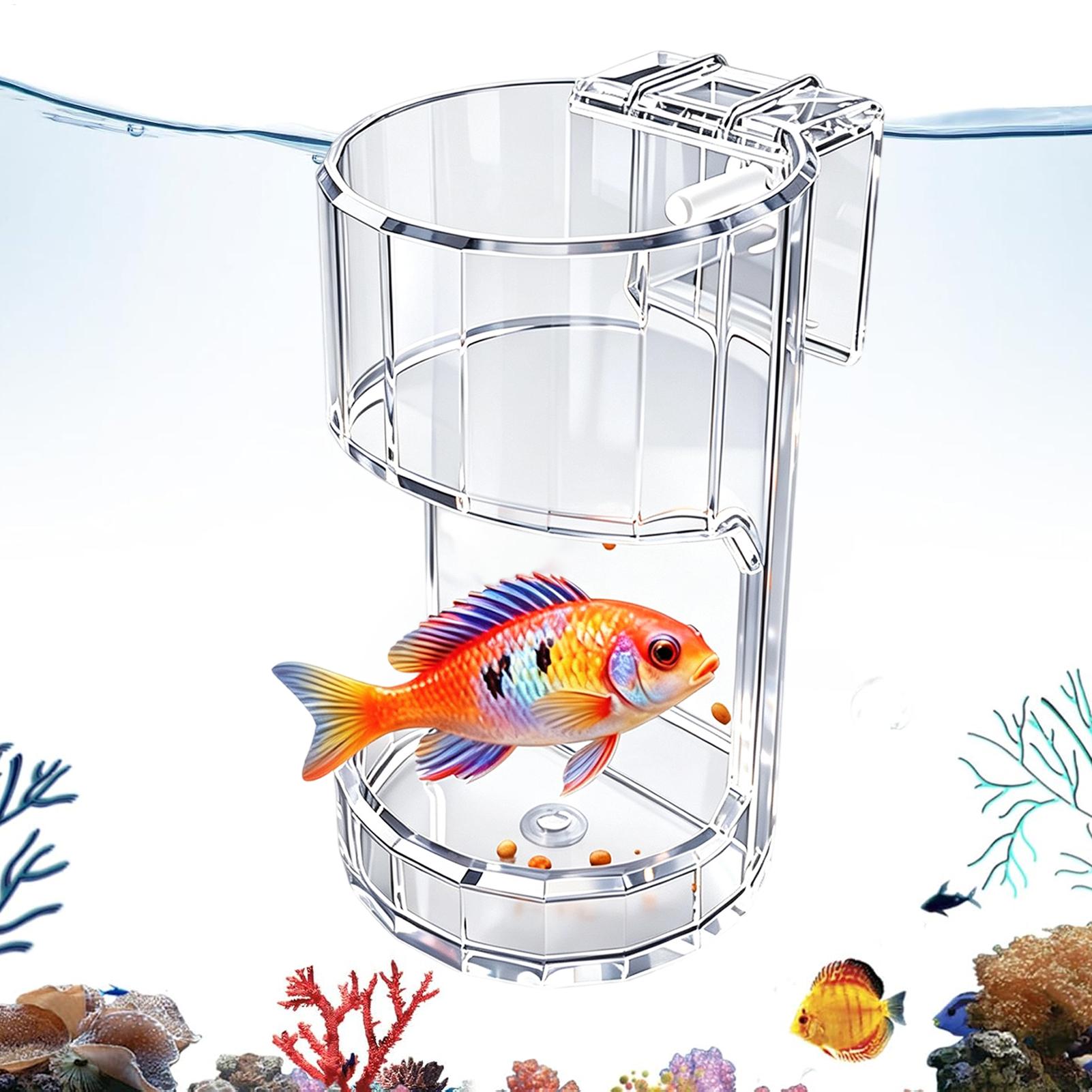 Aquarium Feeding Dish Transpar - Aquarium Fish Holiday Food ulasan dan harga