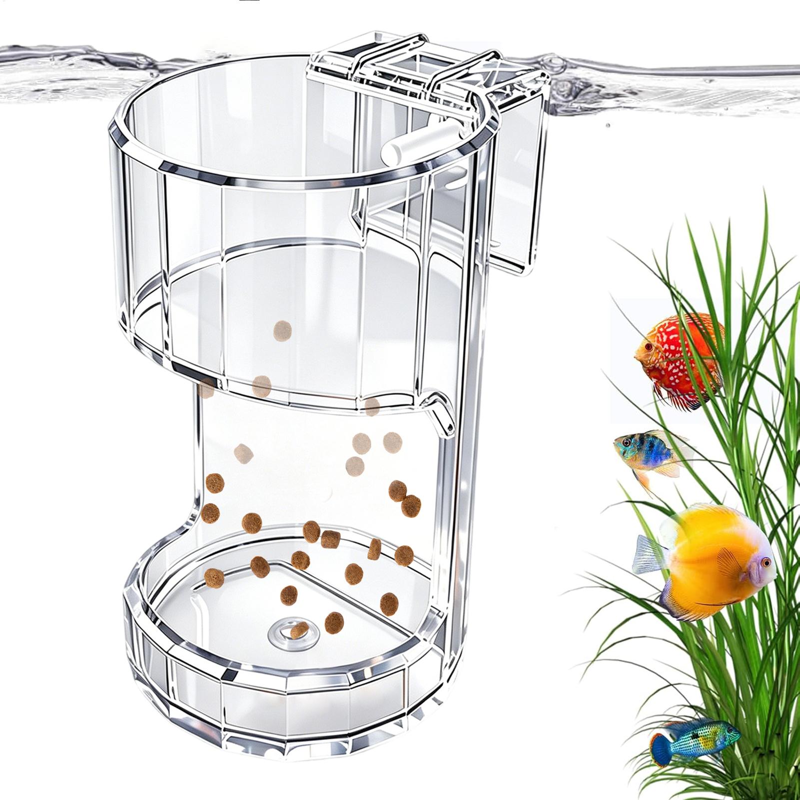 Aquarium Feeding Dish Transpar - Aquarium Fish Holiday Food ulasan dan harga