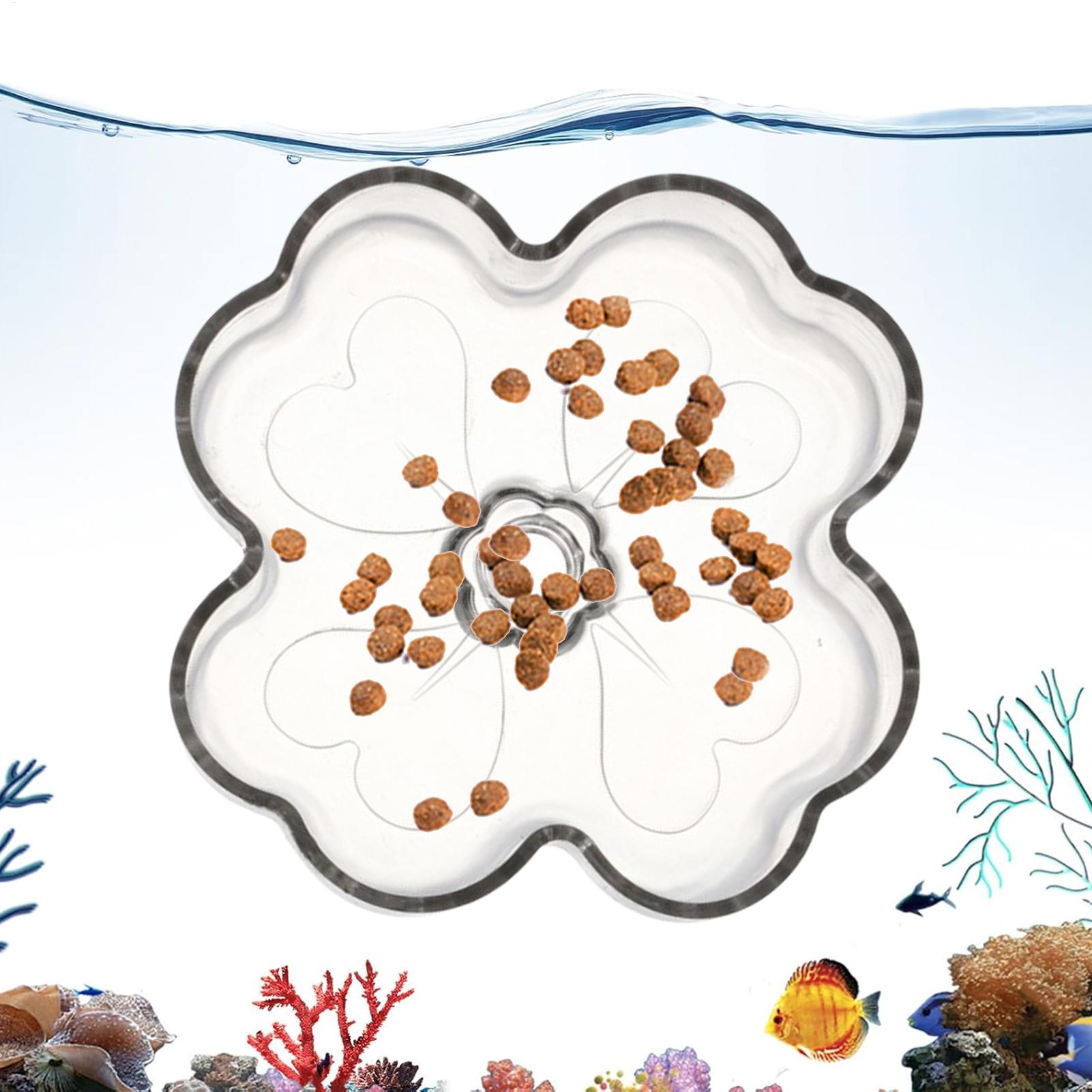 Aquarium Feeder Tray Suction C - Tetra Fish In Aquarium ulasan dan harga