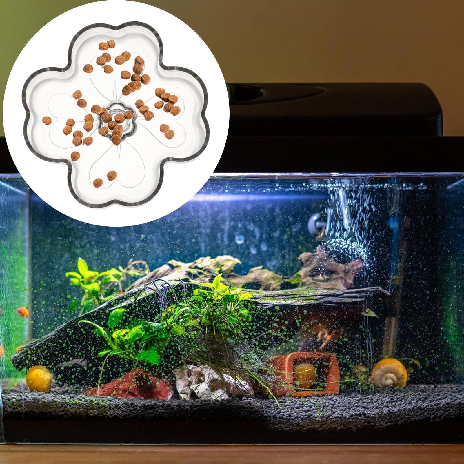 Aquarium Feeder Tray Suction C - Tetra Fish In Aquarium ulasan dan harga