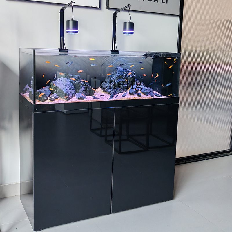 U1  native wild stream tank Sa - Wild Aquarium Fish ulasan dan harga