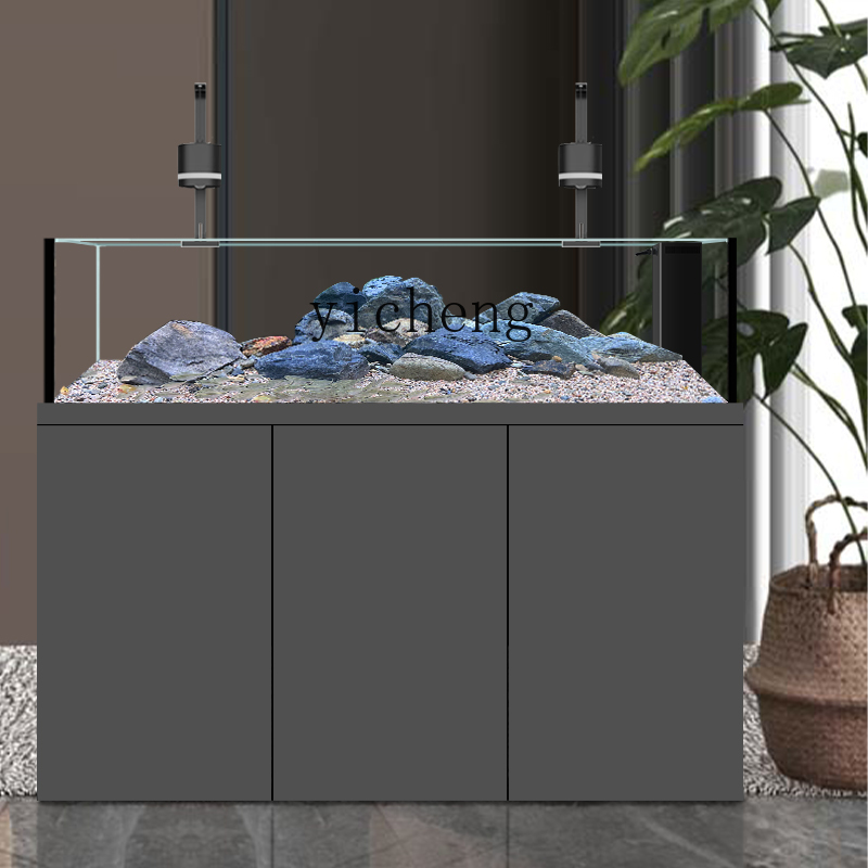 U1  native wild stream tank Sa - Wild Aquarium Fish ulasan dan harga