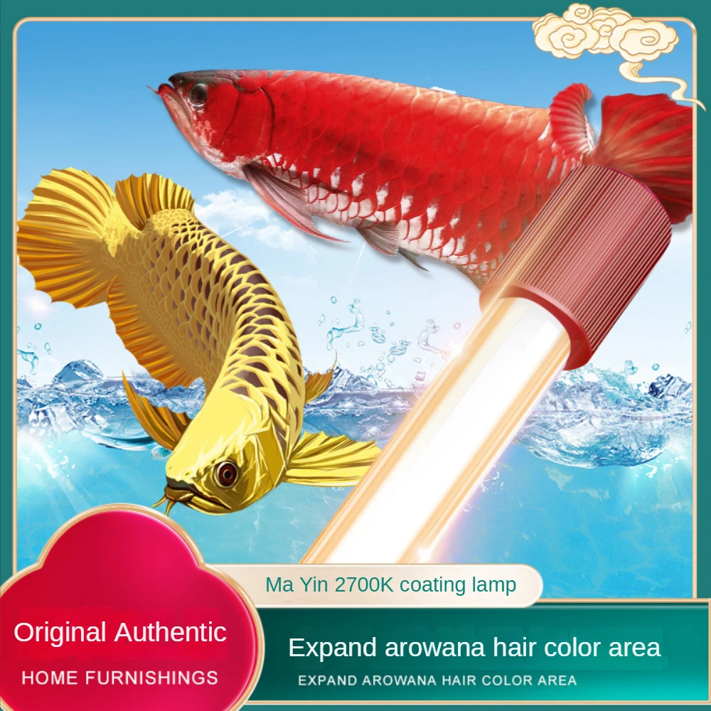 Yellow Shell T5 Submersible LE - Aquarium Fish Yellow ulasan dan harga