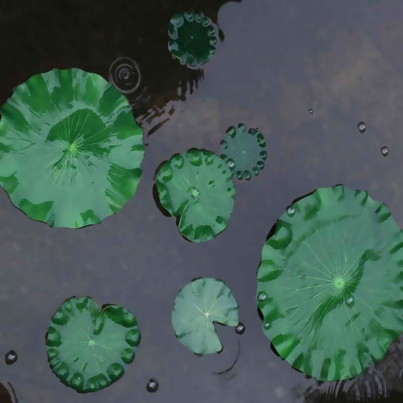 2026 Artificial Water Lily Lot - Aquarium Fish Pond ulasan dan harga