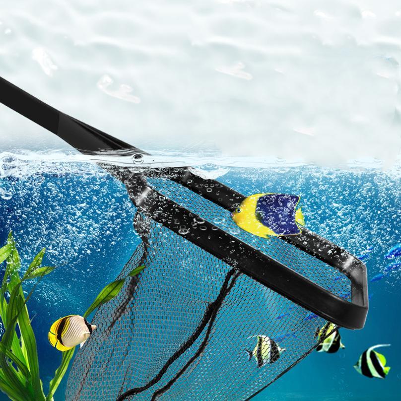 Fish Fishing Plastic Telescopi - Aquarium Fish Big ulasan dan harga