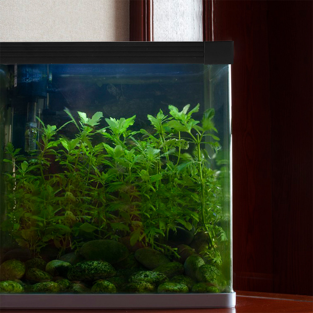 Fish Tank Double Layer Strip S - Aquarium Fish Glass ulasan dan harga