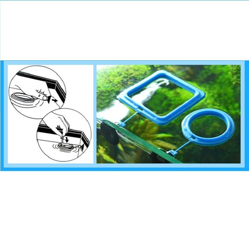 Fish Feeding Ring Feeder Fishi - Tetra Fish In Aquarium ulasan dan harga