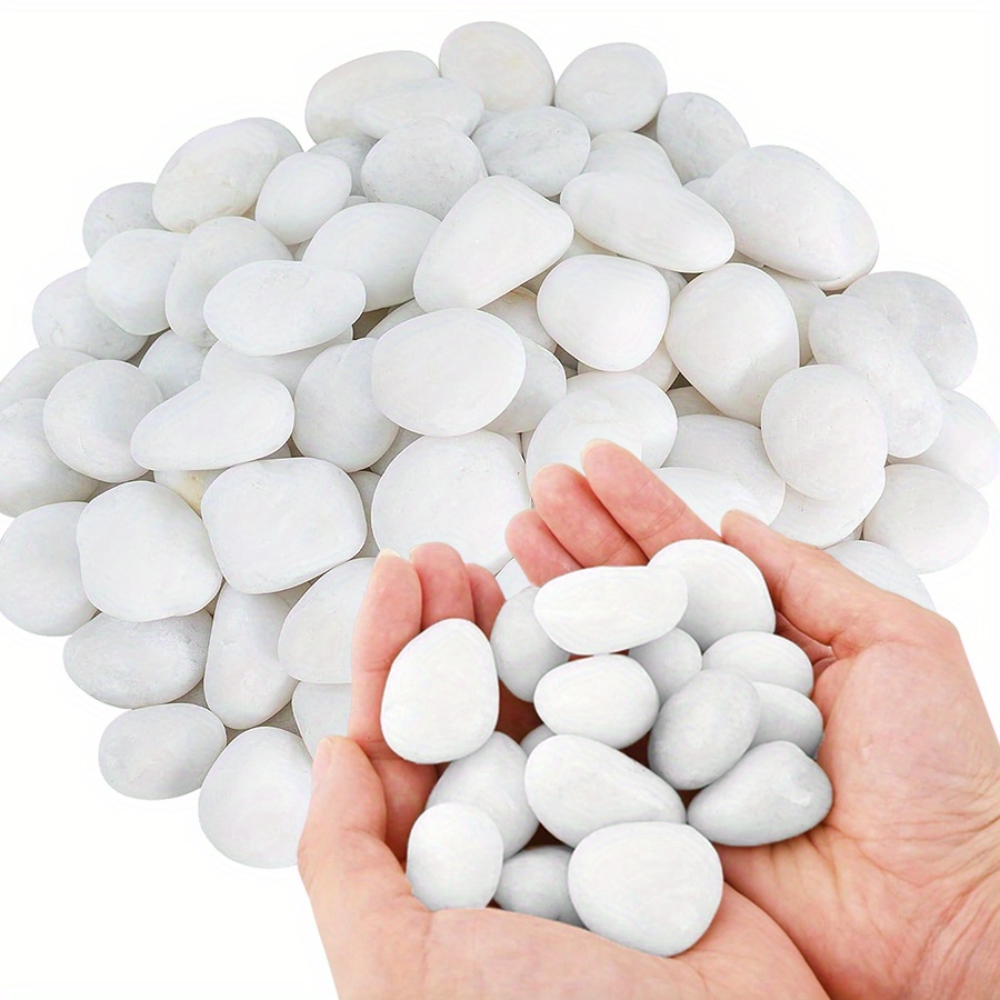 200/400g White High Polished N - Aquarium Fish Guppy ulasan dan harga