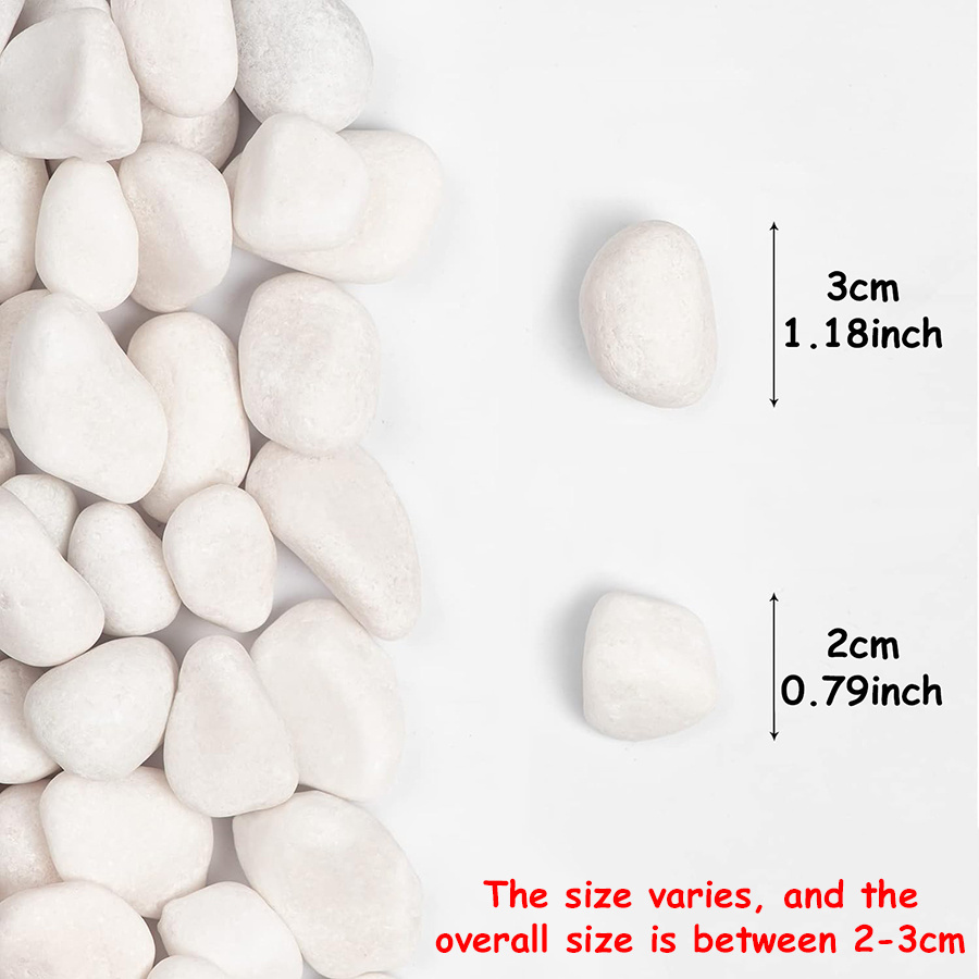 200/400g White High Polished N - Aquarium Fish Guppy ulasan dan harga