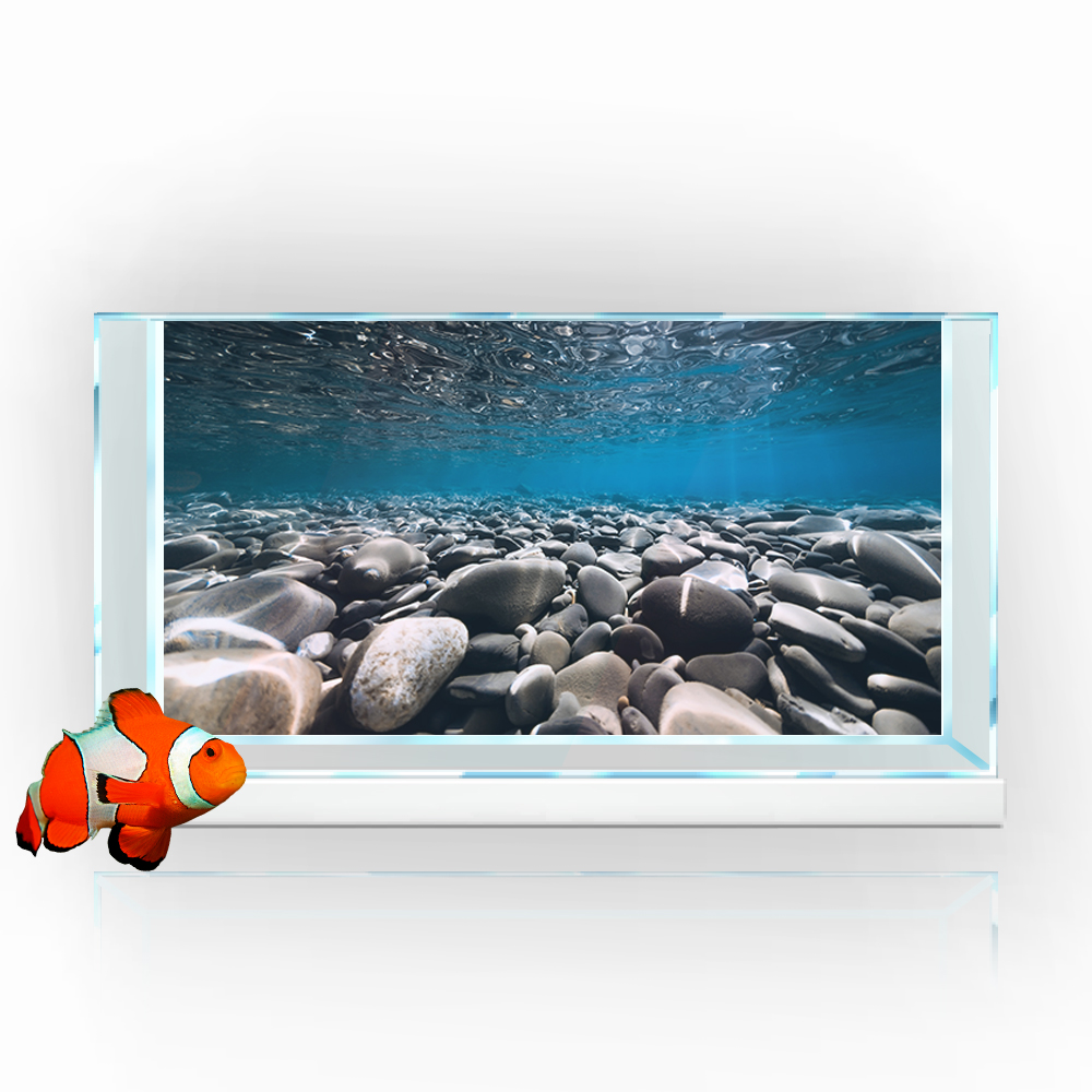Aquarium Background Sticker,   - Aquarium Fish Wallpaper Hd ulasan dan harga