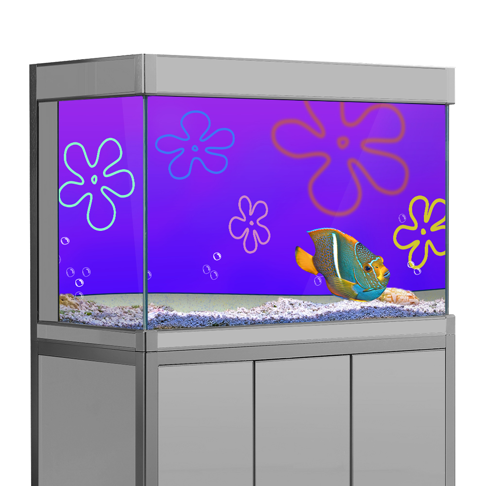 Cartoon bob Underwater Aquariu - Aquarium Fish Wallpaper Hd ulasan dan harga