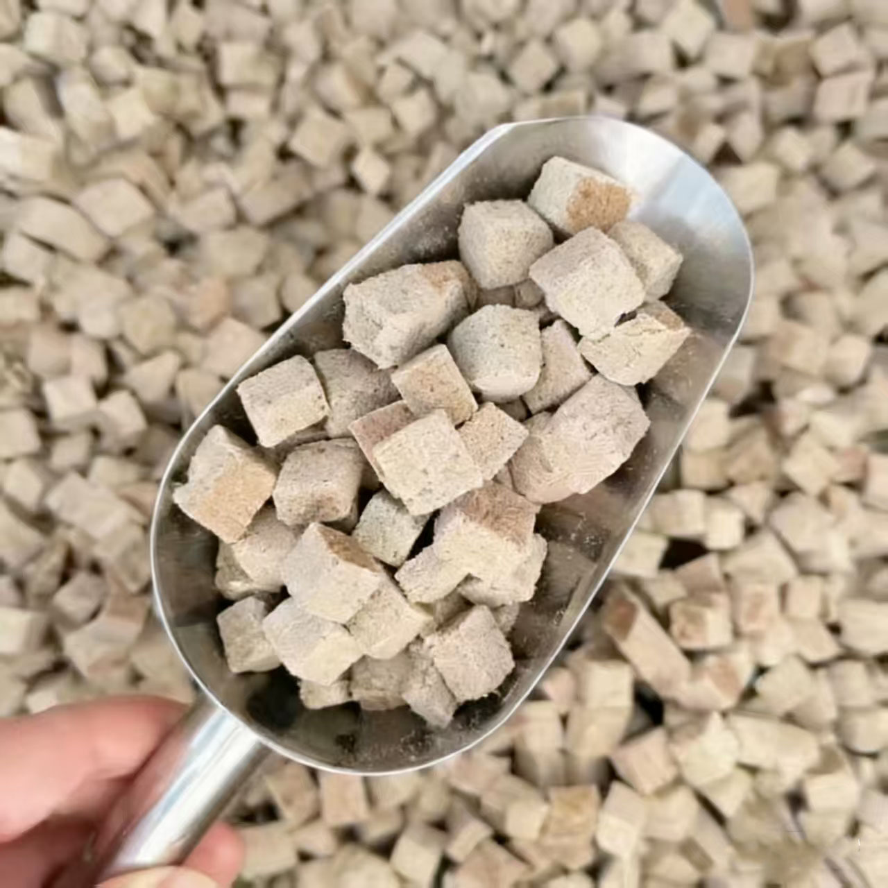 Freeze Dried Blood Worm Cubes  - Tetra Fish In Aquarium ulasan dan harga