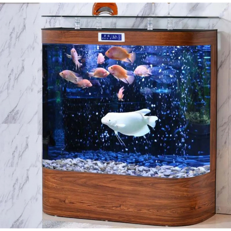 custom.Factory Supply Custom L - Aquarium Fish In ulasan dan harga