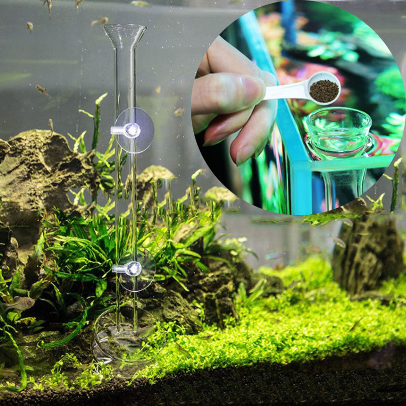 Glass Aquarium Feeder Tube Dis - Aquarium Fish Holiday Food ulasan dan harga