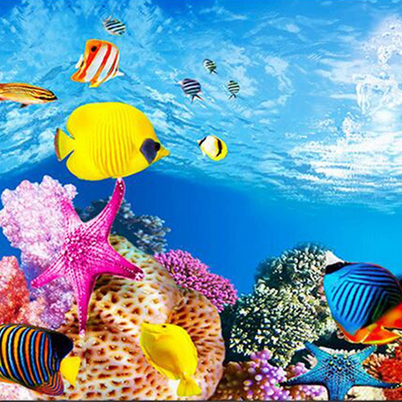 BAAU Aquarium Background Paper - Aquarium Fish Wallpaper Hd ulasan dan harga