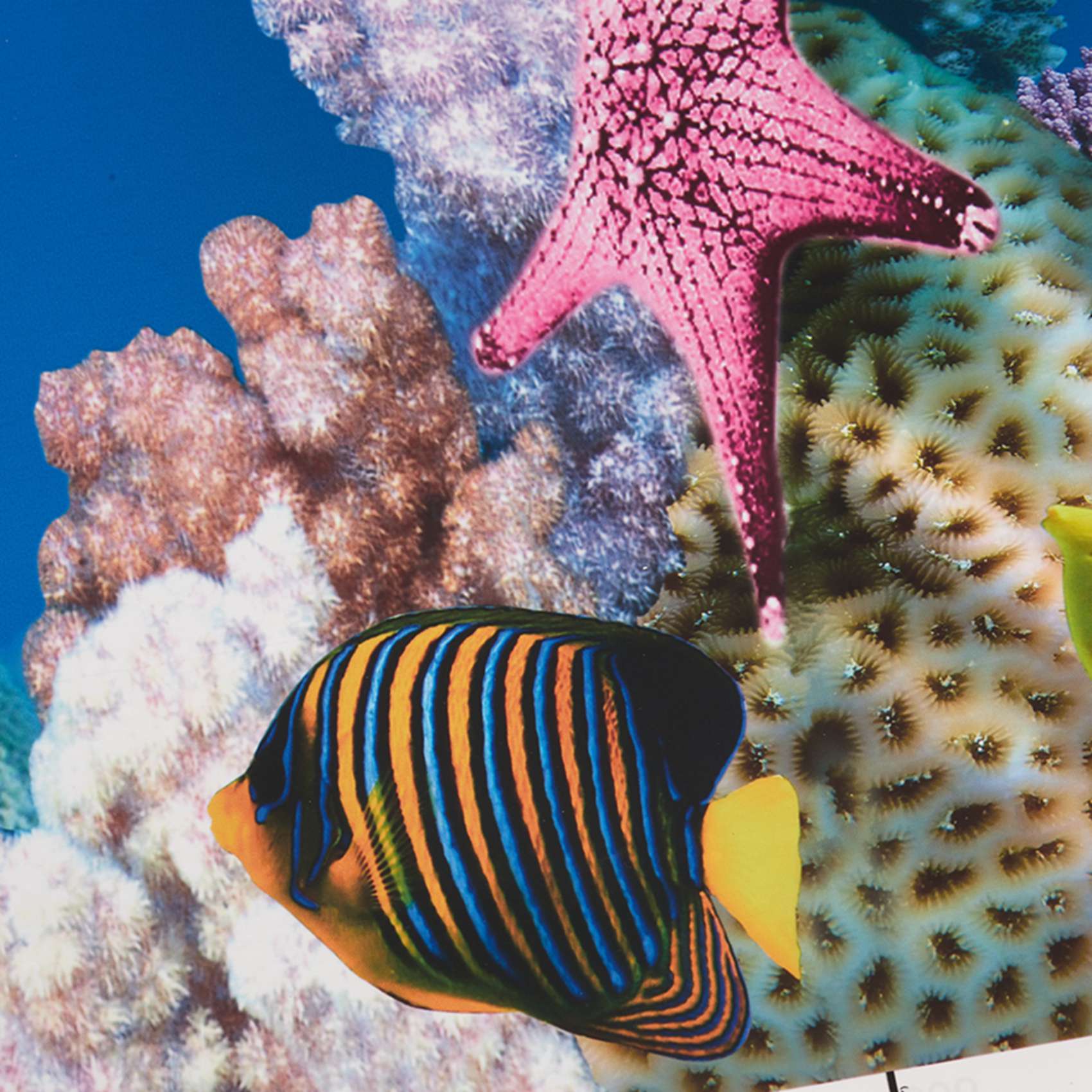 BAAU Aquarium Background Paper - Aquarium Fish Wallpaper Hd ulasan dan harga