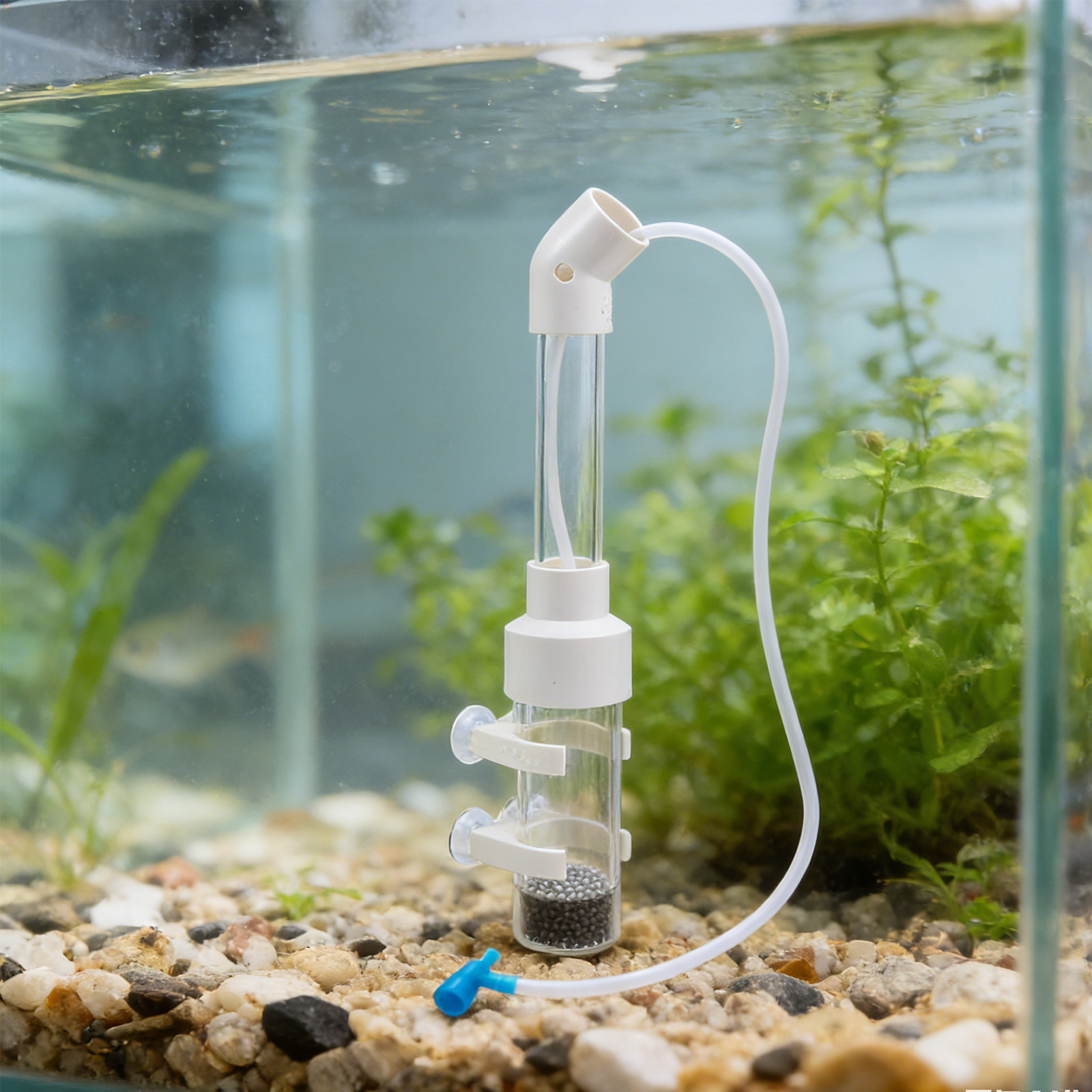 2Sets Fish Egg Incubator Kit A - Aquarium Fish Cichlid ulasan dan harga