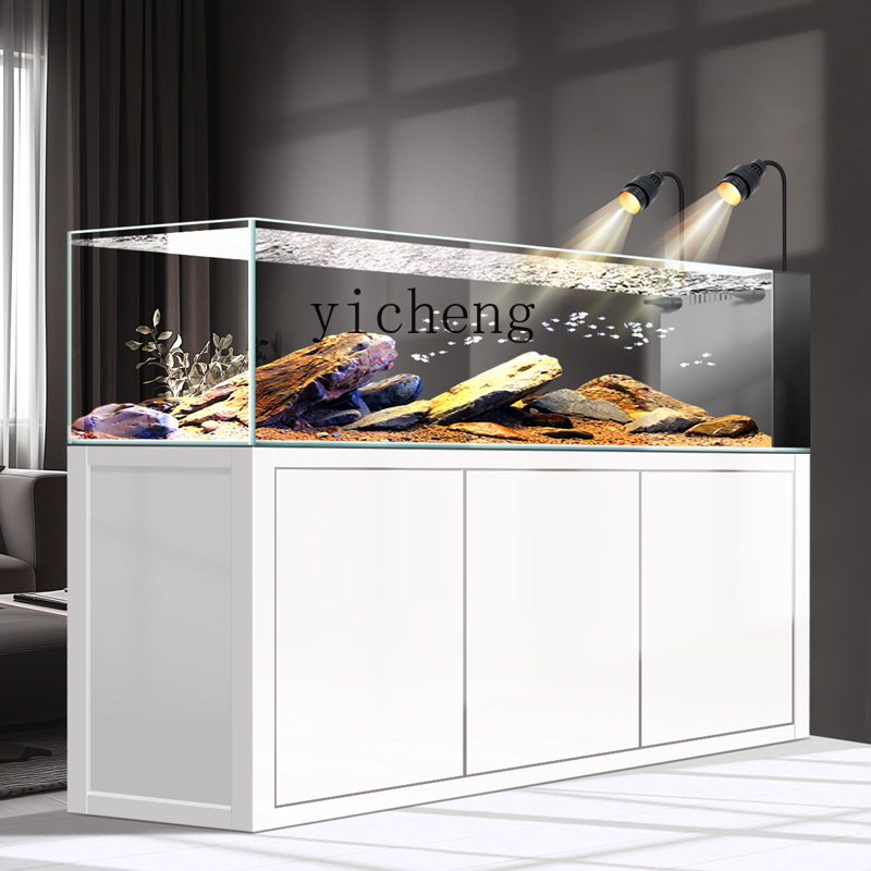Y1 original ecological wild mi - Wild Aquarium Fish ulasan dan harga