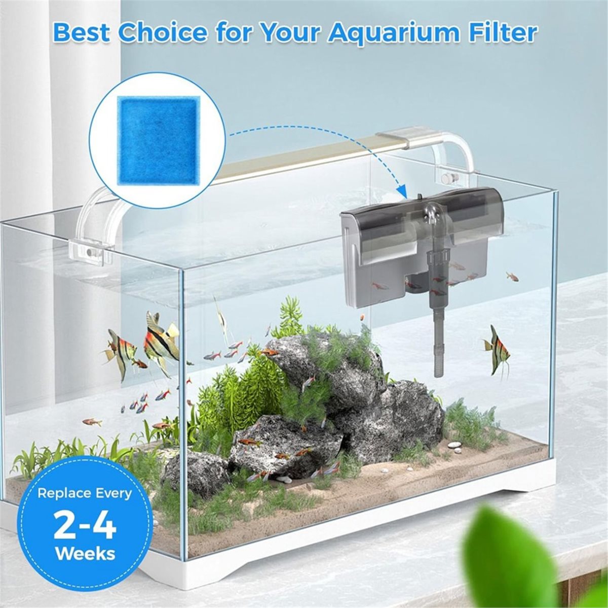 《TOP RATED》10 Pcs Aquarium Fil - Aquarium Fish Rate ulasan dan harga