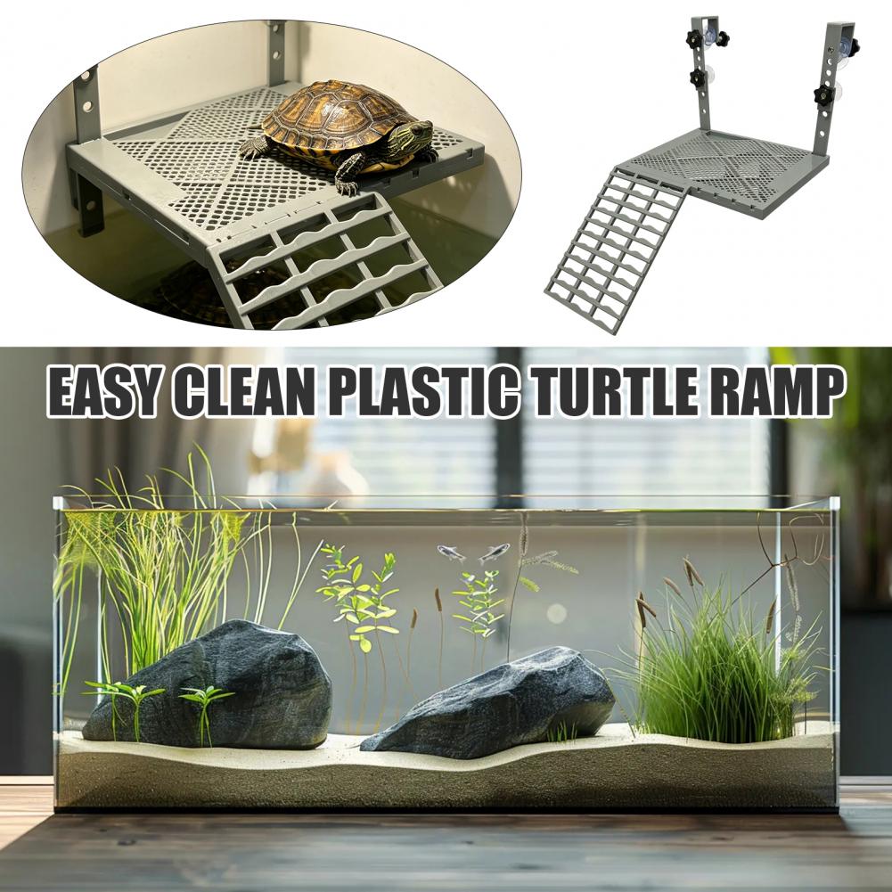Aquarium Decoration Solid Form - Aquarium Fish Guppy ulasan dan harga