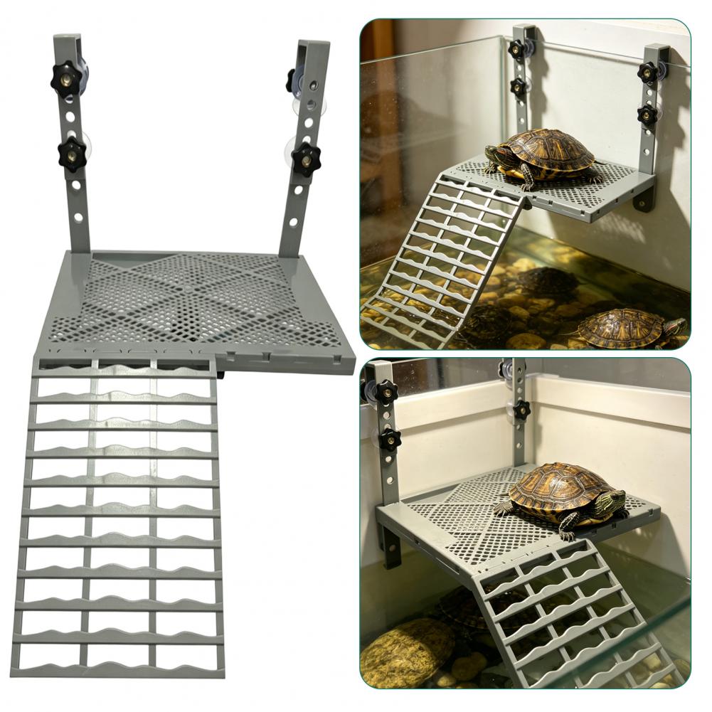 Aquarium Decoration Solid Form - Aquarium Fish Guppy ulasan dan harga