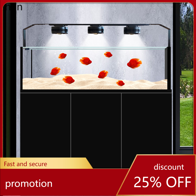 CZ Fish Tank Native Wild Colle - Wild Aquarium Fish ulasan dan harga