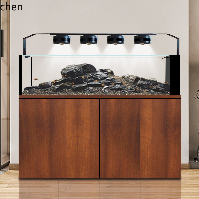 CZ Fish Tank Native Wild Colle - Wild Aquarium Fish ulasan dan harga