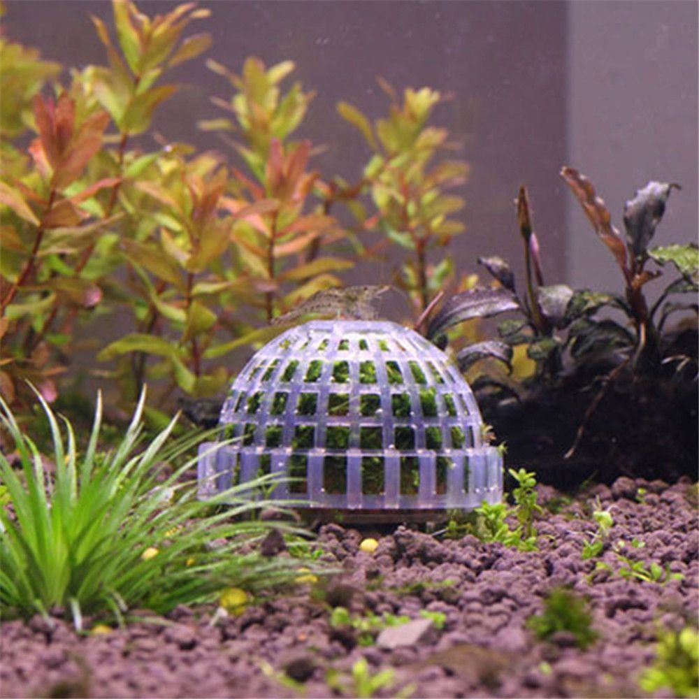New Plastic Suspension Moss Do - Aquarium Fish Cichlid ulasan dan harga