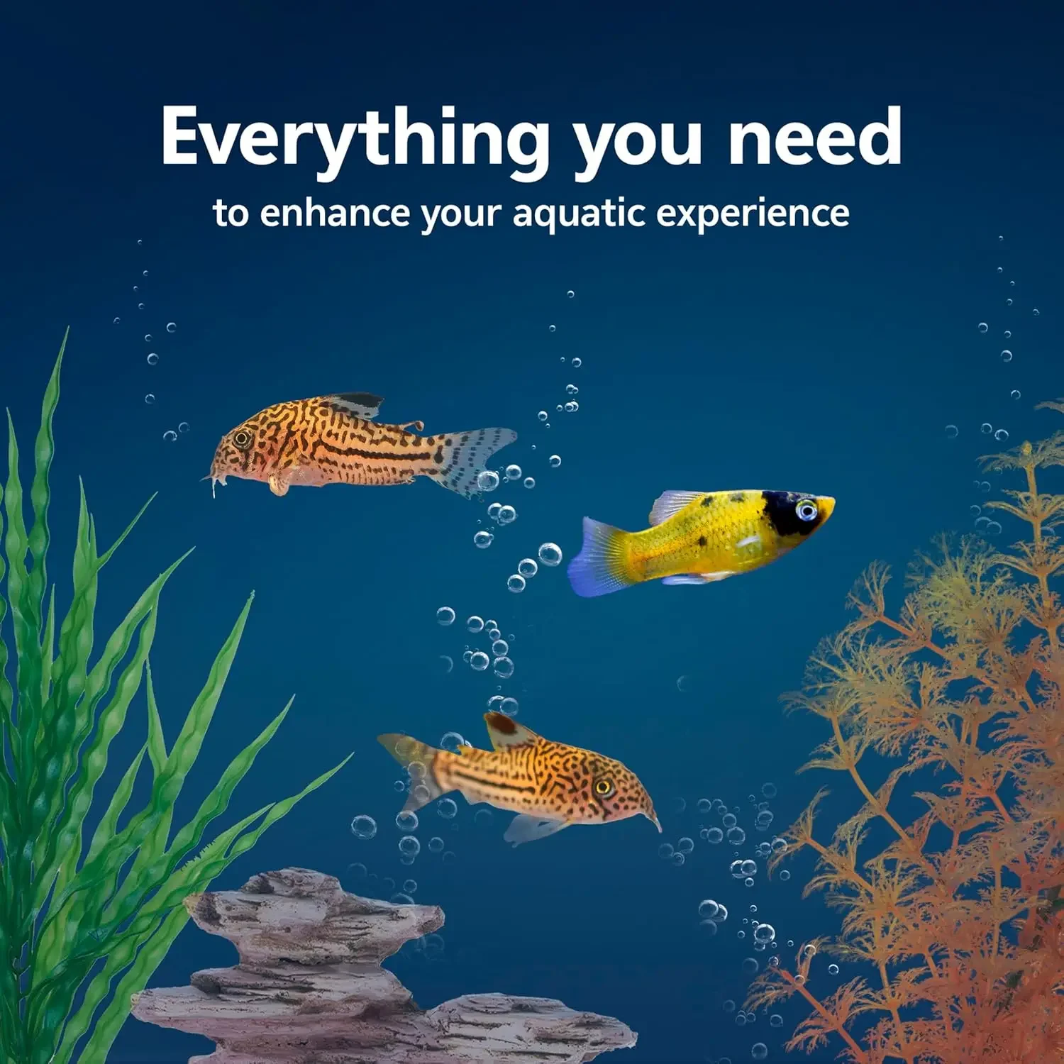 Aquarium Starter Kit with Smar - Tetra Fish In Aquarium ulasan dan harga