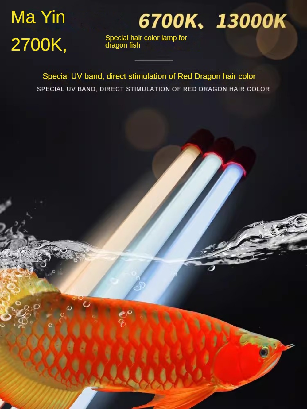 Glass Arowana Fish Tank Light, - Aquarium Fish Yellow ulasan dan harga